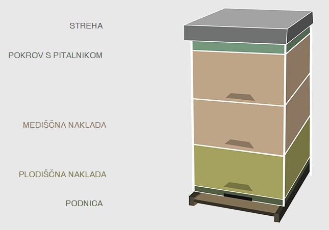 Detajl nakladnega panja LR z okvirji in čebelami