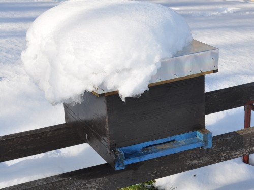 Čebelnjak pozimi, pokrit s snegom — Čebelarstvo Auguštin